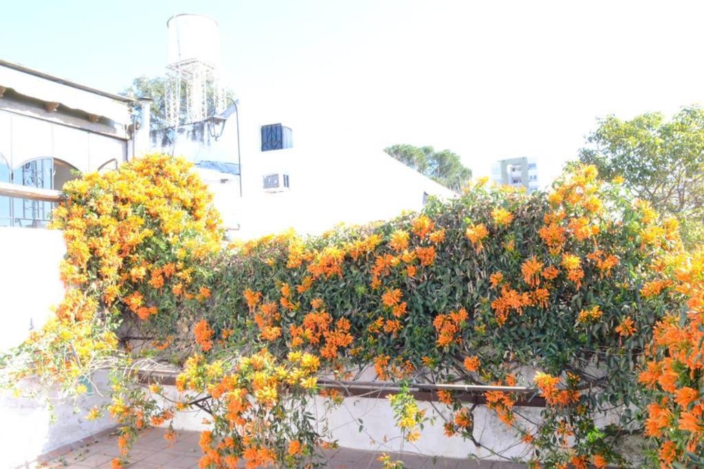Casa Colonial En Salta Nueva Y Antigua公寓 外观 照片
