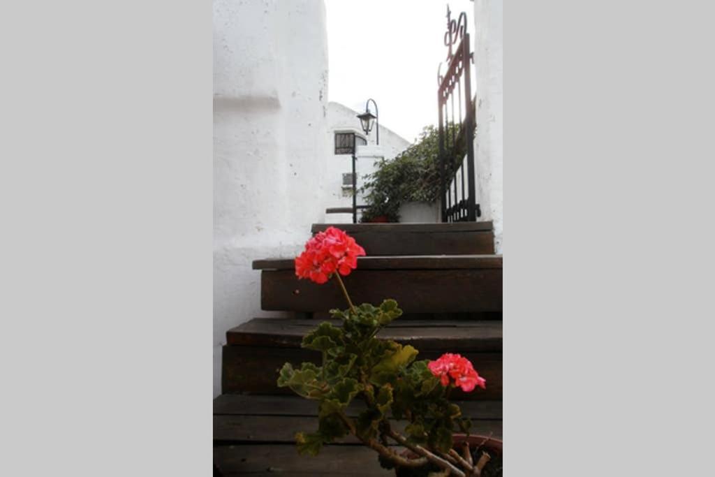Casa Colonial En Salta Nueva Y Antigua公寓 外观 照片